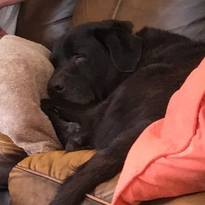 Meet your Posher, Bonnie